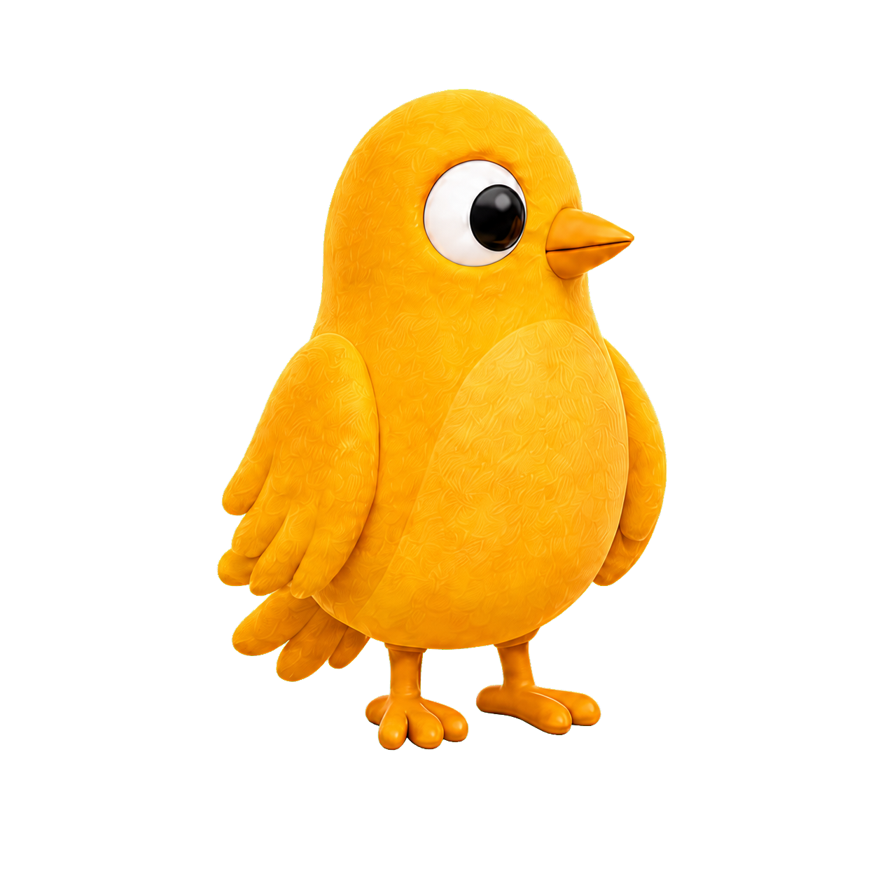 Little Birdee, attentive